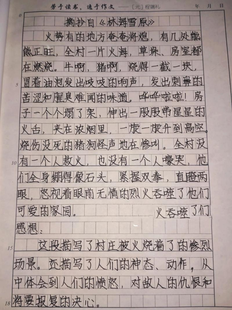 雪中感想作文350字