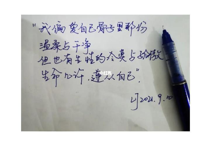 那份心酸的礼物作文1000字