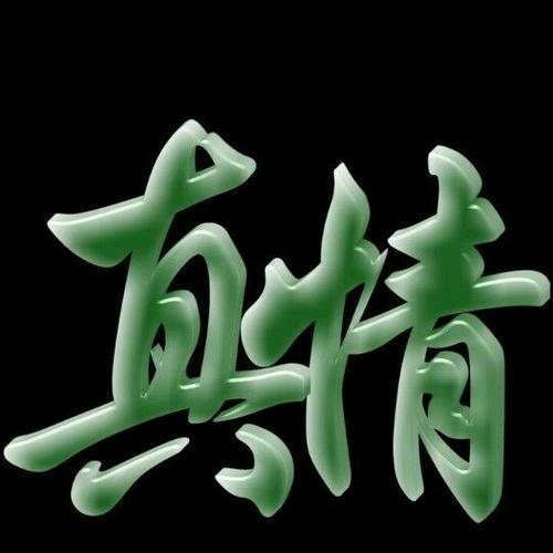 不一样的真情作文800字