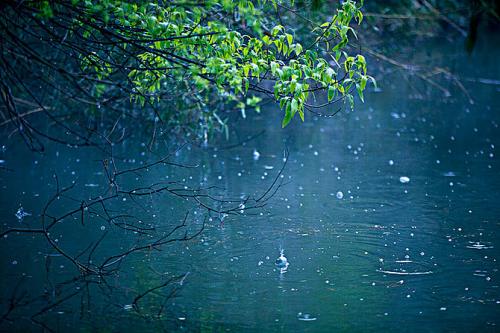 细雨润无声作文700字