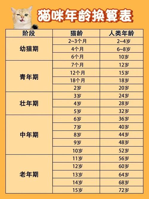 在我们这个年龄作文800字