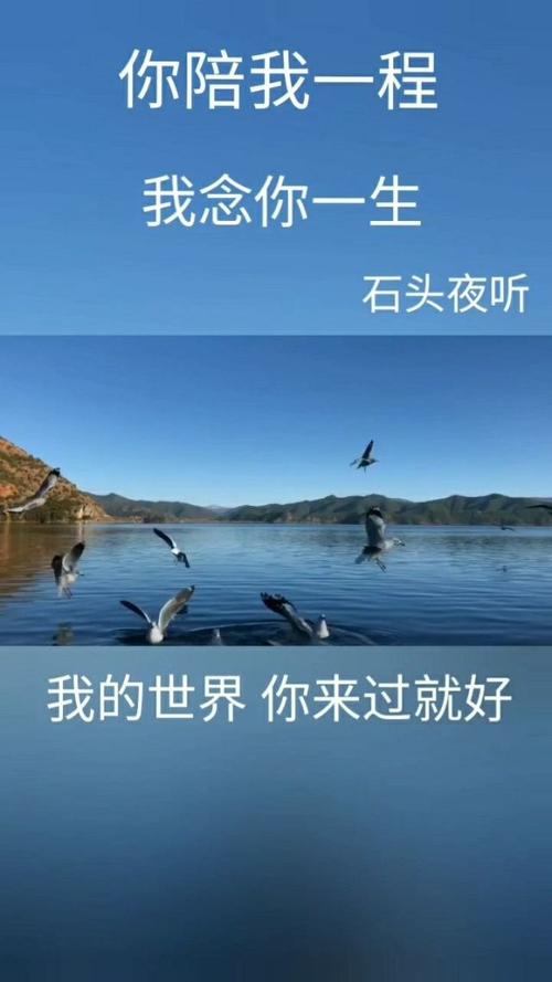 我若辉煌，谁陪我狂作文1200字