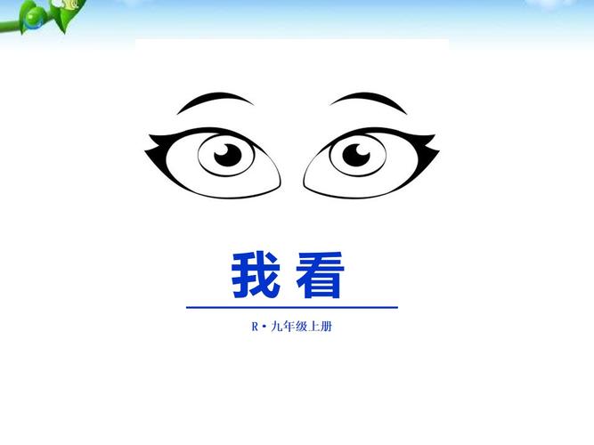 我看苏东坡作文800字