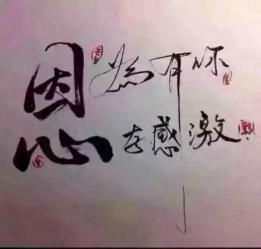 我最感激的一个人作文500字