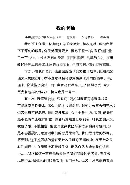 我的老师作文250字6篇