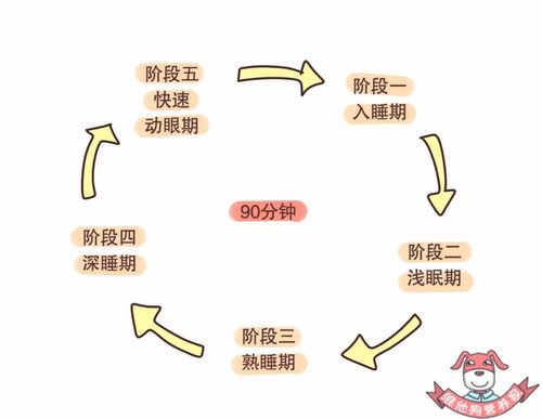 高中阶段同学关系作文