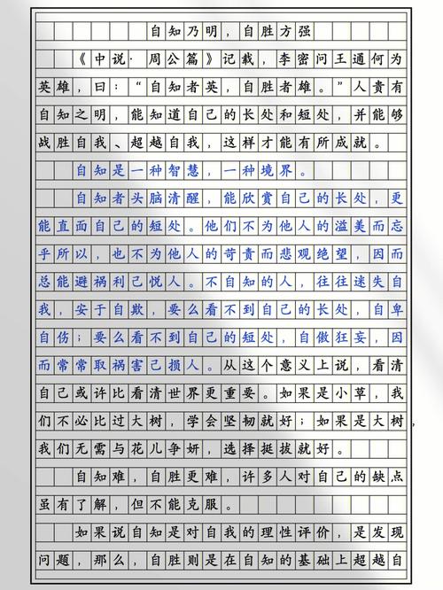 记一次比赛的优秀作文300字