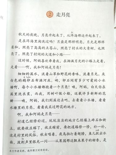 记一次游戏四年级作文范文