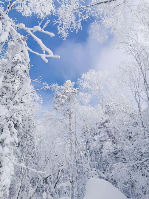 初三以雪景为话题的作文600字