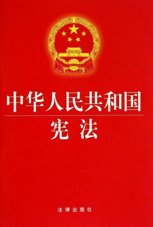 小学生以学习宪法为话题作文300字