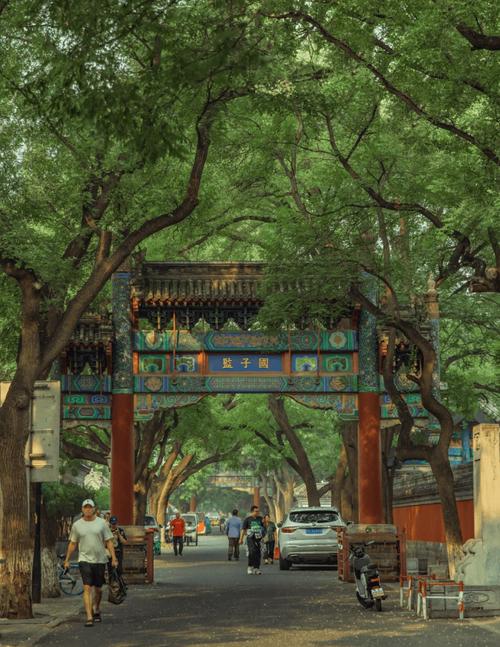 北京胡同(HUTONG TOUR IN BEIJNG)