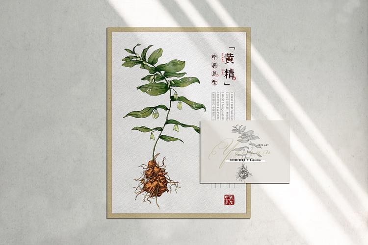 中草药(Chinese Herbs)