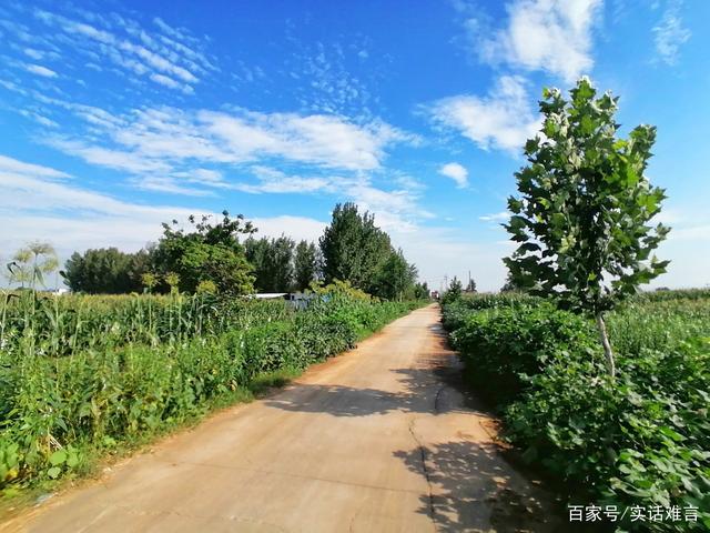 乡间散步(A Walk in the Country)