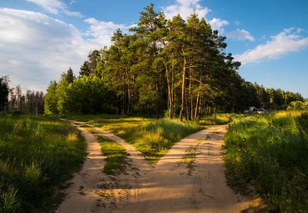 两条路(The Two Roads)