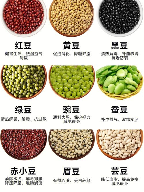 女性多吃豆类男性多吃鱼(Women eat more beans male fish)