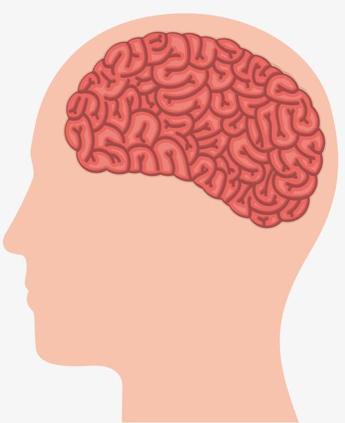 怎样使用我们的头脑(How to Use Our Brain)