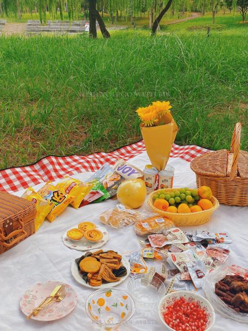 A Sea Shore Picnic海边野餐高考作文