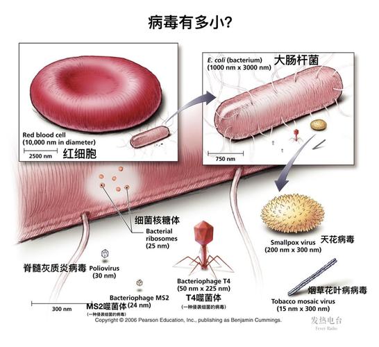 2021年抗击新型冠状肺炎作文【五篇】