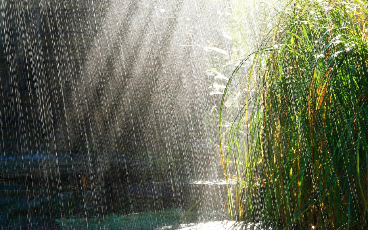 中学生期末考试作文：我读懂了雨季