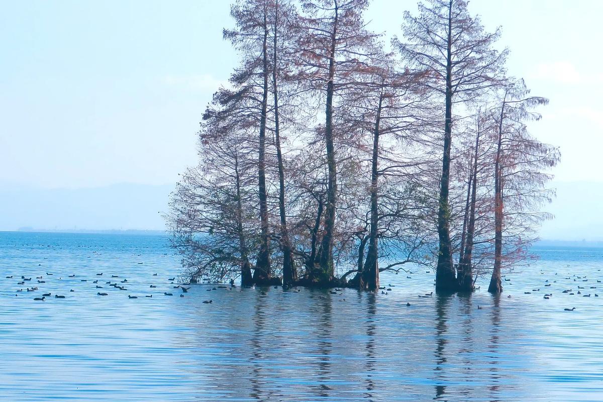 此景已待成追忆