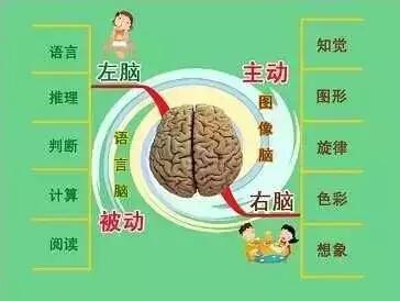 挑战智力决胜五一作文