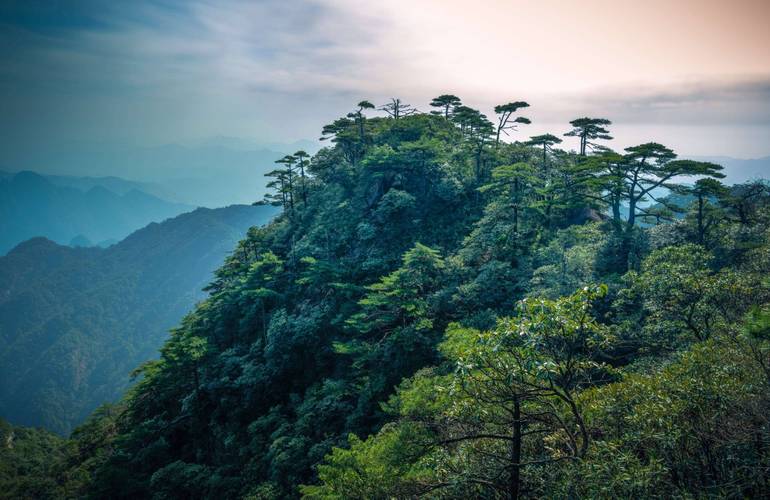 五一深山神游作文