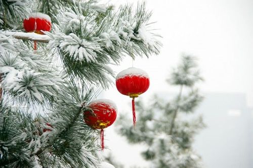 新年踏着瑞雪迎着春风小学作文