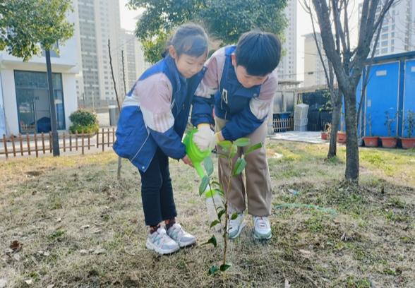 小学生写植树节的作文400字