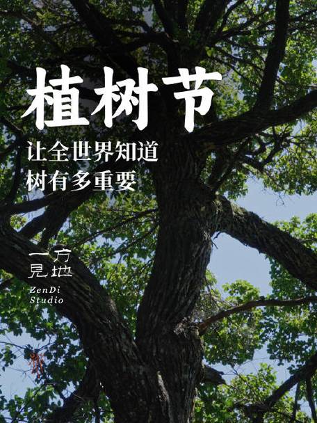 小学生难忘的植树节作文300字