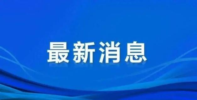 最新关于315打假的作文精选