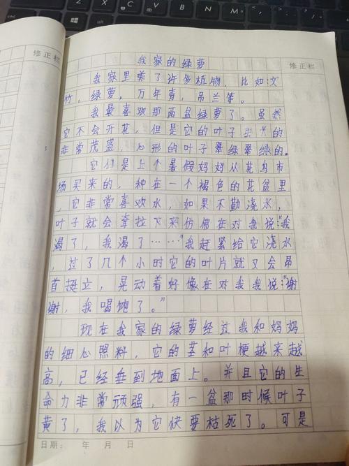 三年级上册语文第一单元习作