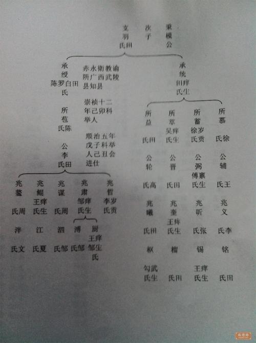 三年级上10单元作文北师大版：族谱