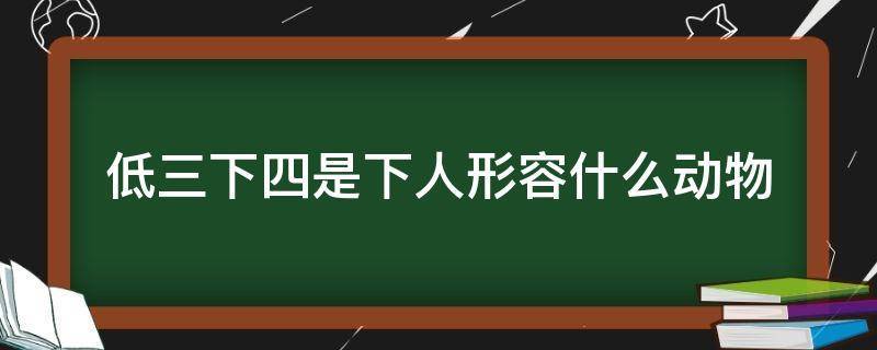 四年级下人教版新课标4单元作文范文