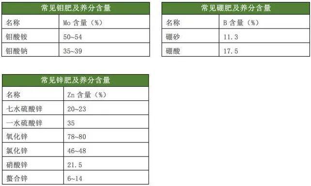 四年级下册第五单元作文：生命的养分