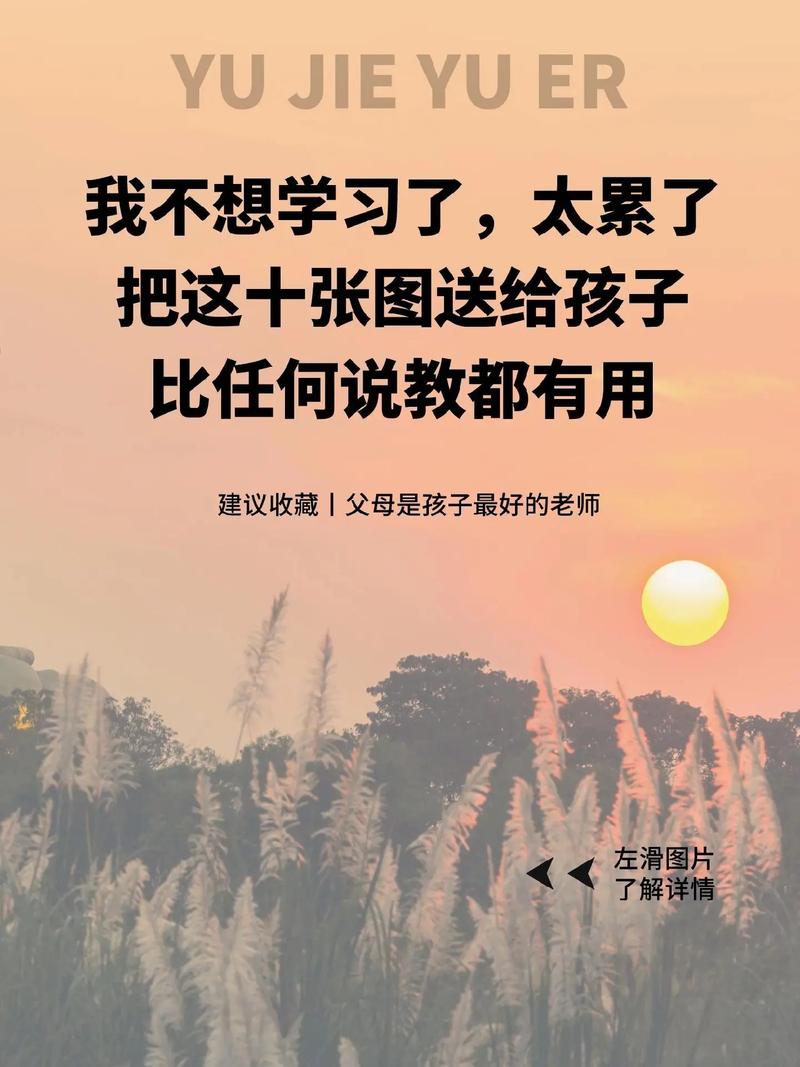 我不理解父母的爱优秀作文