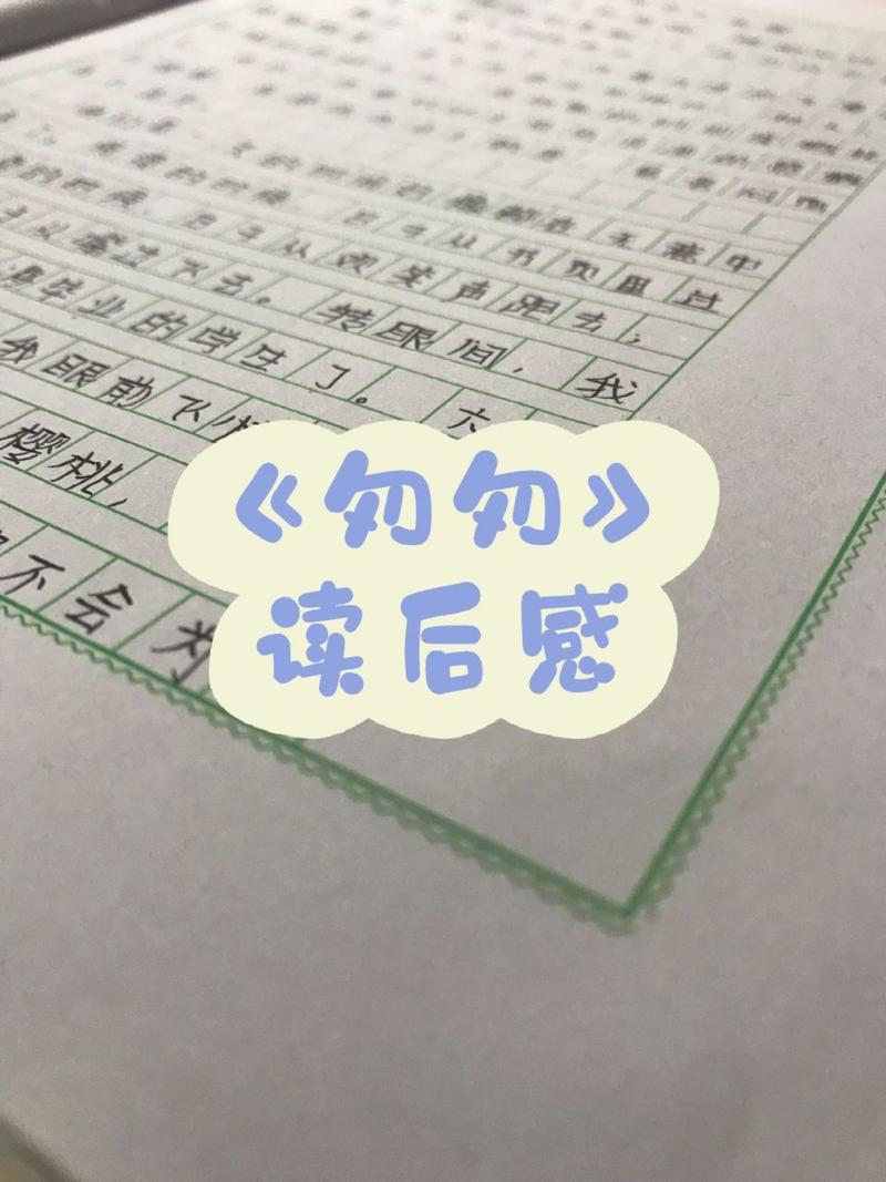 五年级下6单元语文S版作文：《跨越世纪》读后感