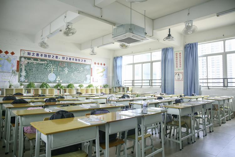 小学2024年“庆元旦，迎新年”班级活动方案