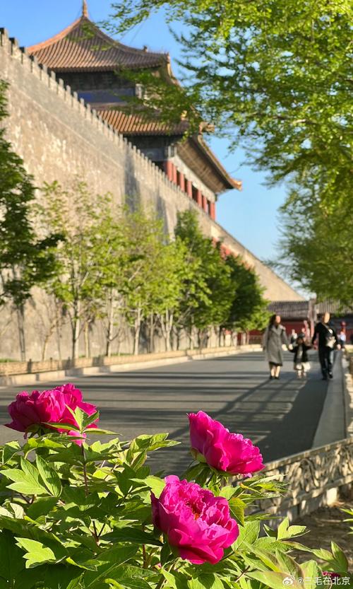 北京十渡导游词范文