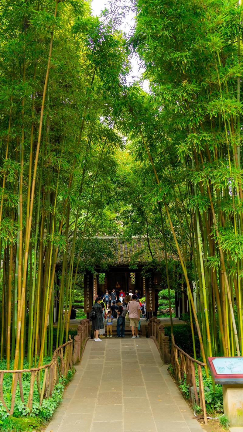 杜甫草堂导游词解说_四川杜甫草堂导游词范文