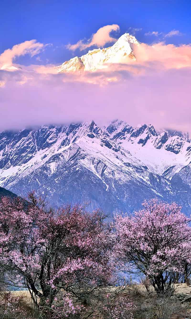 西藏林芝导游词