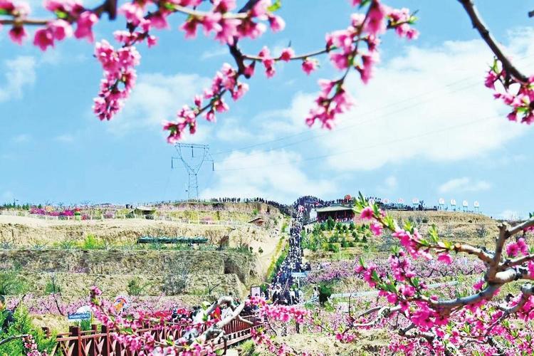 精选甘肃麦积山导游词