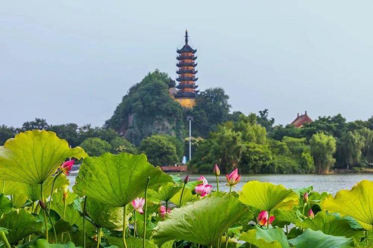 镇江金山导游词范文介绍