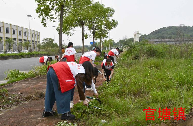 环境卫生整治工作方案