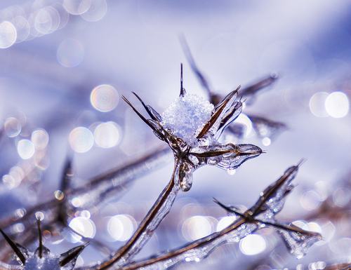 应对低温雨雪冰冻灾害工作方案