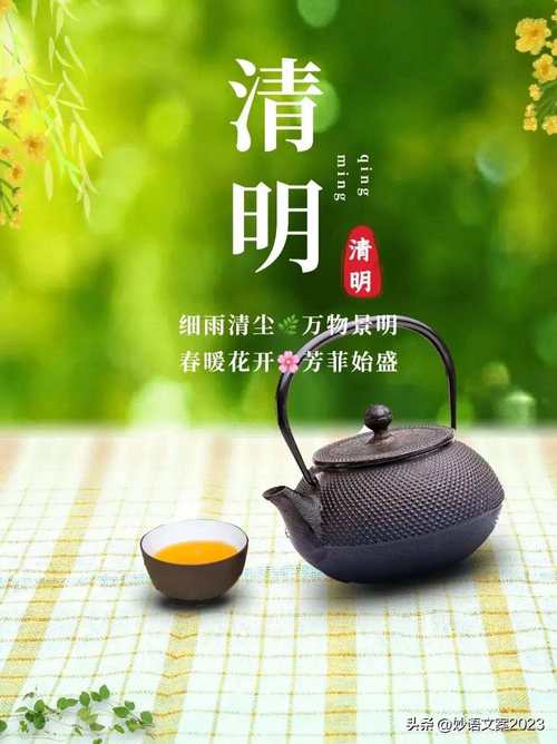 幼儿园清明节宣传活动方案范文