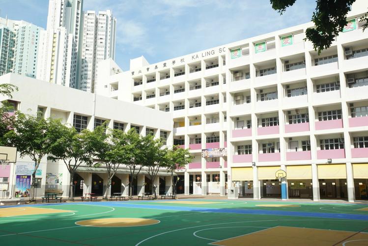 2024年农村小学校舍安全应急预案