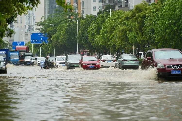 乡镇历史暴雨洪水应急预案