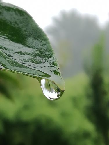 雨露培训方案