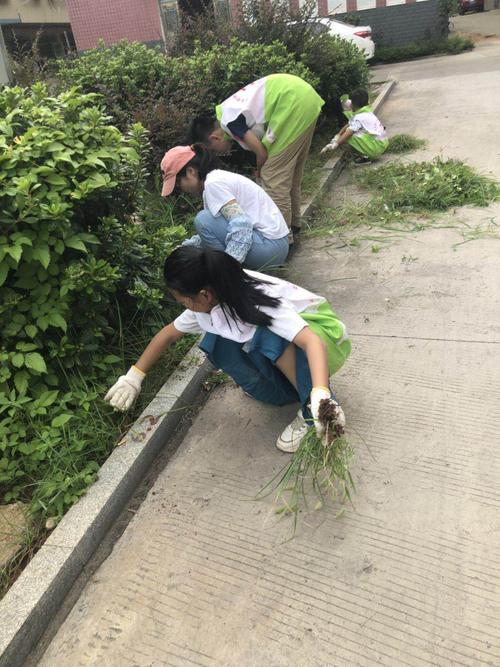 大学生短篇社会实践