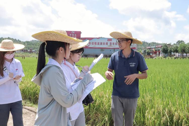 2024大学生三下乡社会实践报告3000字